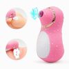 Intense Suction Clitoral Stimulator Female Massager Pink Estimulador Feminino De Seios E Clit√≥ris 10 Velocidades vibradoras femininos